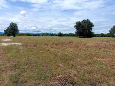 200 TW Home Building Plots Near Black Mountain Golf and Water Park