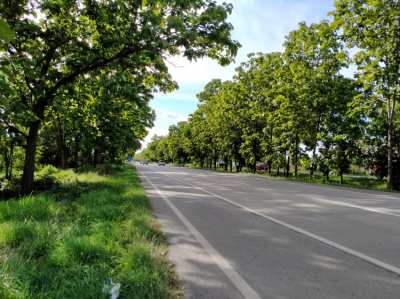 land 60 rai, on Super Highway Road, inbound near Doi Ti, Lamphun.