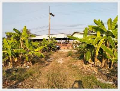 ที่ดินเปล่าติดถนนในซอย 2 ไร่เศษ บ้านแม - ยุหว่า อ.สันป่าตอง เชียงใหม่