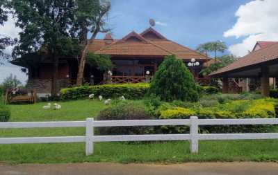 Khao Yai / Pakchong family house 3b for rent in quiet area, great view