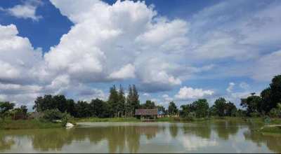 Fishing Lake for Sale