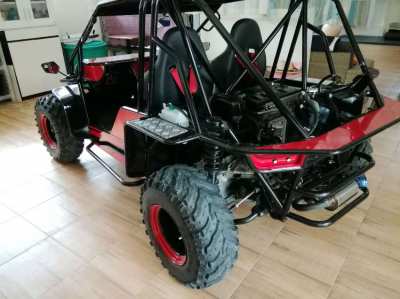 Buggy, FAST, FUN AND EASY to drive! 