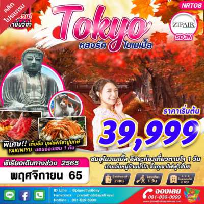 ทัวร์ญี่ปุ่น 6วัน4คืน เริ่ม 27,888 บาท