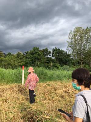 ขายที่ดินเขาใหญ่ ทำเลทองวิวสวย ใกล้ถนนมิตรภาพใกล้แหล่งชุมชน 259.1 ตรวา