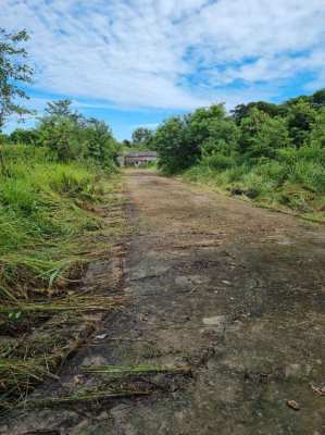 7 Rai of land suitable for housing site in Surin city