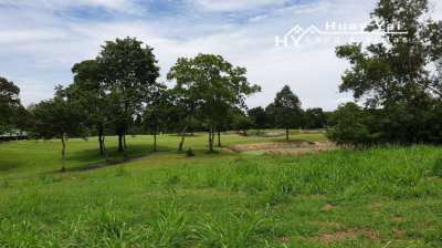 #A50, #A51  Premium Building plot beautiful location within the golf c