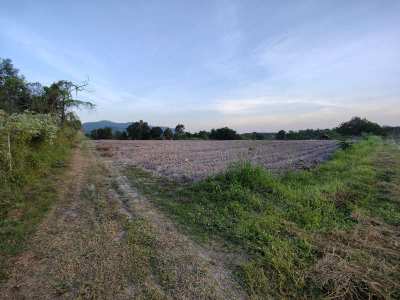 14-2-27 Rai Easy Access to Hua Hin Bypass (255 Meters) - Fertile Land