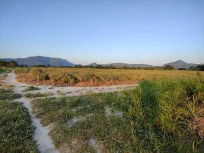 Excellent Land Investment Opportunity 14 Rai Near Black Mountain Golf