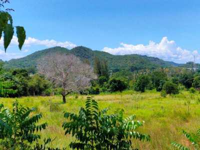 5-2-90 Rai Mountain View Plot - Cheapest Land Per Rai In Khao Tao!