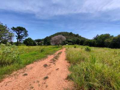 5-2-90 Rai Mountain View Plot - Cheapest Land Per Rai In Khao Tao!