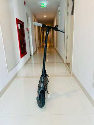 Segway Ninebot Kick Scooter