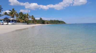 Absolute Beachfront Land 