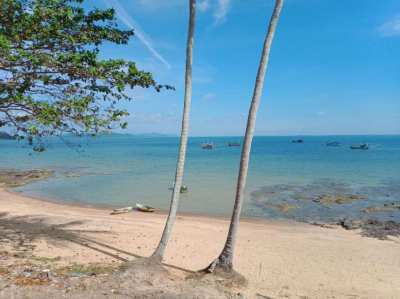 Absolute Beachfront Land 