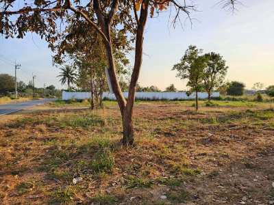 Hot! Square Shaped 1-0-0 Rai Plot on Main Road Near Black Mountain!