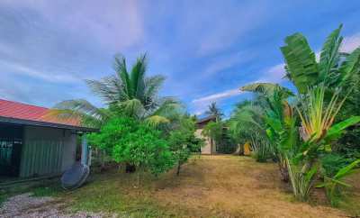 For sale house with land 15 minutes from the beach