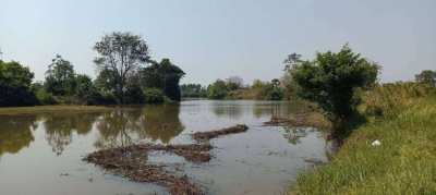 Beautiful land for sale, Mueang Si Kai Sub-district 