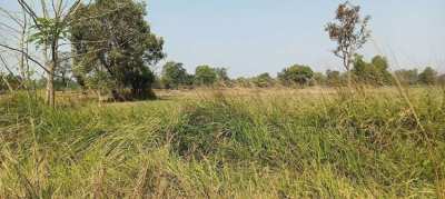 Beautiful land for sale, Mueang Si Kai Sub-district 