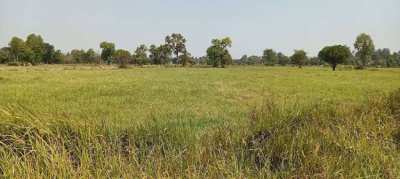 Beautiful land for sale, Mueang Si Kai Sub-district 