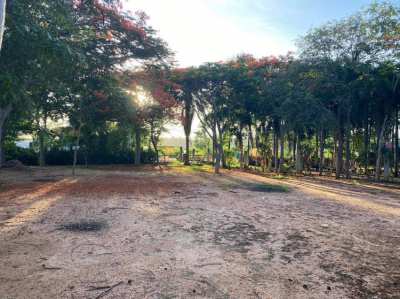 Land For Sale 232 Twah in Mabprachan Lake ! 