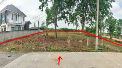 Land for Sale in Chiangmai Sankampaeng