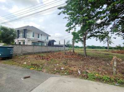 Land for Sale in Chiangmai Sankampaeng