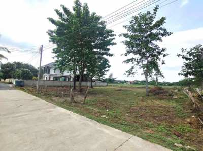 Land for Sale in Chiangmai Sankampaeng