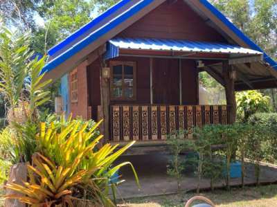 Walk to Beach Houses