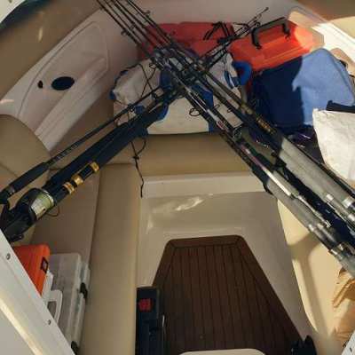 Boston Whaler 320 Outrage - Cuddy Cabin