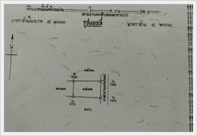 Land 362sqw. on the road, Muenglen-Nongyeang, Sansai, Chiangmai.