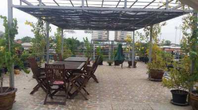  Apartments 24 room for sale ( also 4 bed house ) , Bandu , Chiang Rai