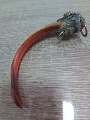 Chinese bovine horn for belt or something else i have no idea