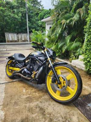 Black and yellow custom nightrod special 