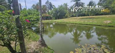 #1509 Stunning Parkland like plot of land in Huay Yai 