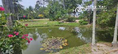 #1509 Stunning Parkland like plot of land in Huay Yai 