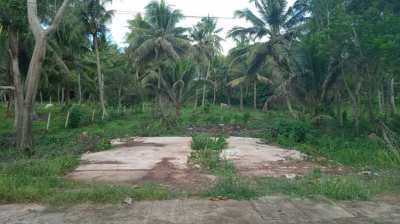 Beachfront Had Sairee Chumphon