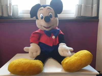 Mickie and Minney Mouse toys