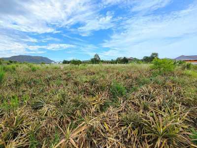 Square Shaped 1-0-0 Rai Home Building Plot Near Black Mountain Golf