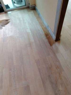 Wooden floor polished