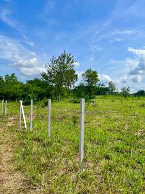 ขายที่ดินเขาใหญ่ ทำเลทอง 2 ไร่ ใกล้ถนนมิตรภาพและสถานที่ท่องเที่ยว