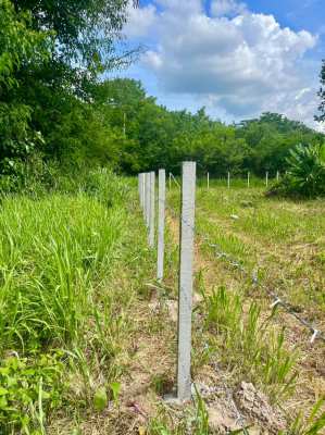 ขายที่ดินเขาใหญ่ ทำเลทอง 2 ไร่ ใกล้ถนนมิตรภาพและสถานที่ท่องเที่ยว