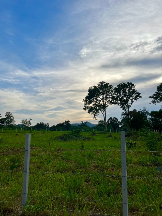 ขายที่ดินเขาใหญ่ ทำเลทอง 2 ไร่ ใกล้ถนนมิตรภาพและสถานที่ท่องเที่ยว