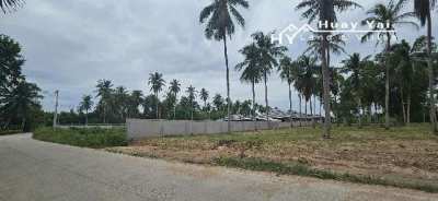 #1520   Road fronting dream villa land plot in good neighbourhood