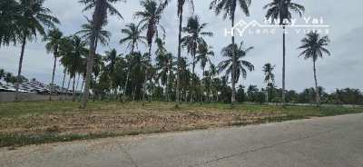 #1520   Road fronting dream villa land plot in good neighbourhood