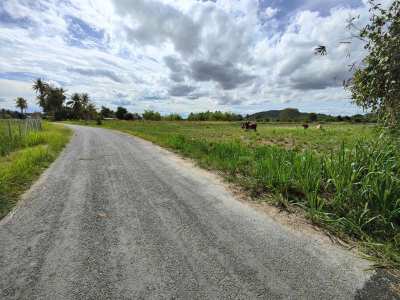 Nicely Shaped 4-2-88 Rai Hin Lek Fai Land Plot Near Black Mountain 