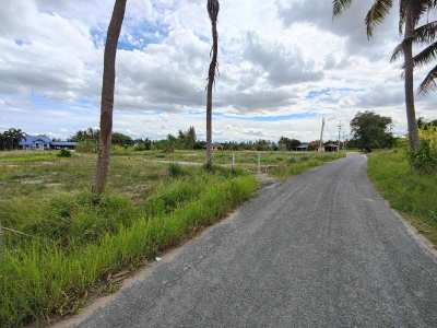 Hot! Square Shaped 6-0-0 Rai Corner Plot Perfect For Home Development