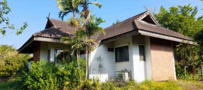 Single-storey house with garden in Chiang Mai for sale