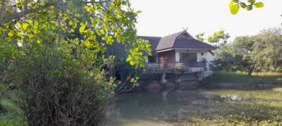 Single-storey house with garden in Chiang Mai for sale