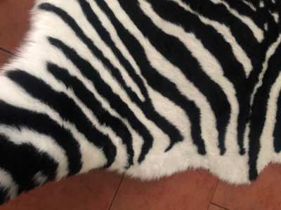 Artificial wool carpet, index , carpet zebra style ..REDUCET