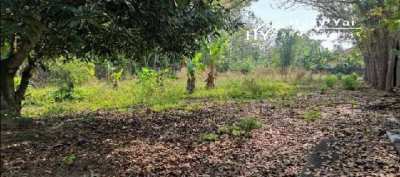 #1532   Dream villa plot of land for sale. Huay Yai