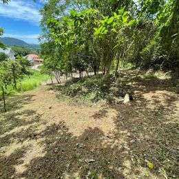 Land For Sale Phuket Town 